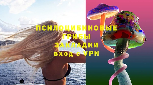 спайс Арсеньев