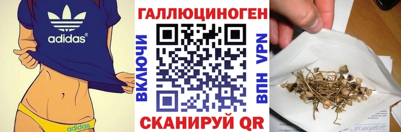 Купить где  Свирск  Псилоцибиновые грибы GOLDEN TEACHER 
